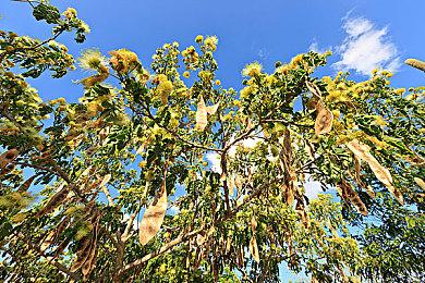 合作肉鸽FPS《太空怪兽恐怖惊魂》现已退出抢先体验